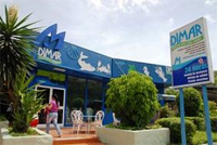 Dimar Casino Restaurants